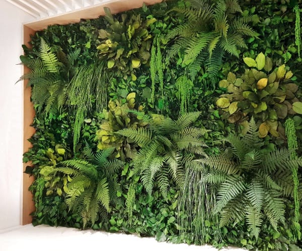 Close detail of a preserved green wall with mixed ferns and foliage
