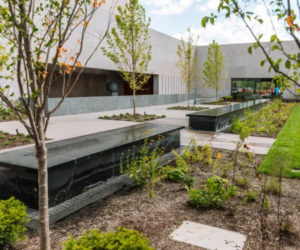 Linear black water table on a planted roof terrace