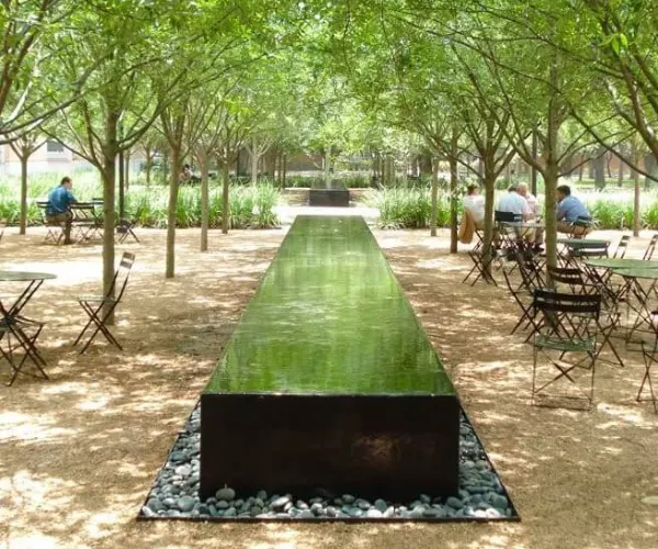 Raised black reflection rill under a grove of trees