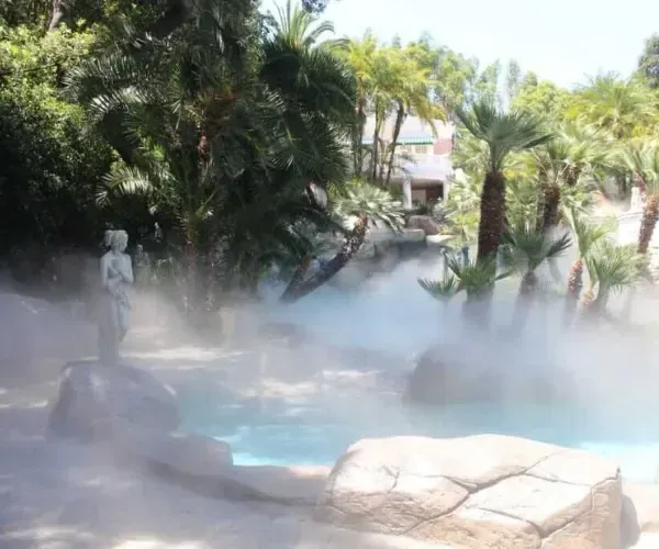 Mist drifting through a rock garden and palms beside a resort pool