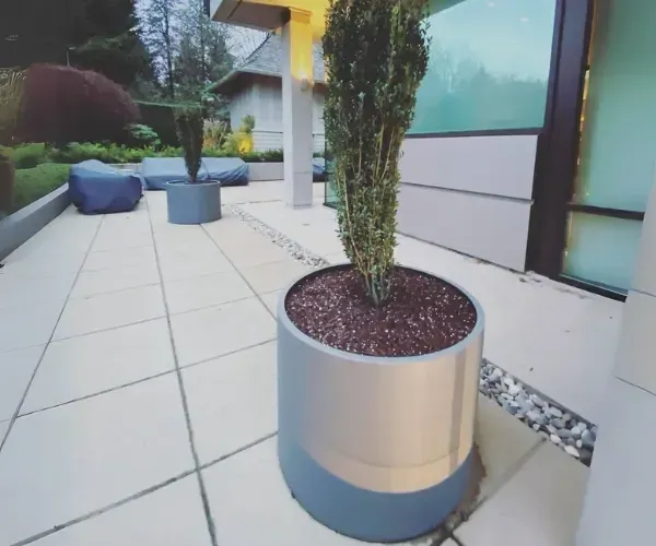 White cylindrical planter with a cypress on a stone patio