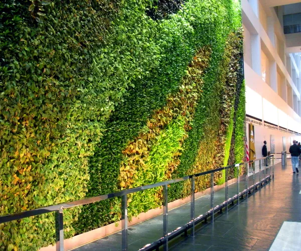 Full-height living wall running the length of an atrium corridor