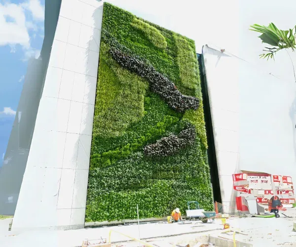 Monumental live green wall being installed across a building facade