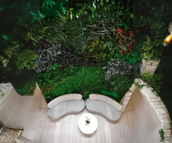 Overhead view of a preserved green wall behind curved lounge sofas