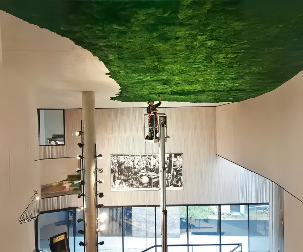 Technician on a lift installing a preserved-moss ceiling