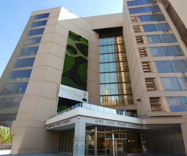 Living wall panel mounted on a downtown office tower facade