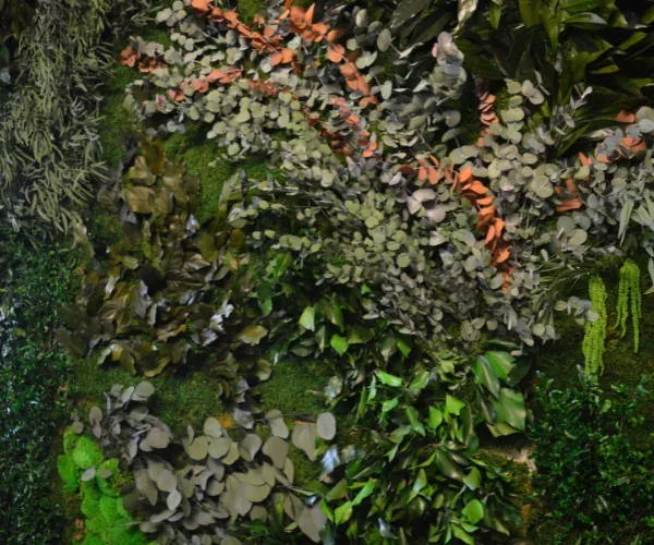 Preserved wall mixing eucalyptus, ferns, and flowering accents