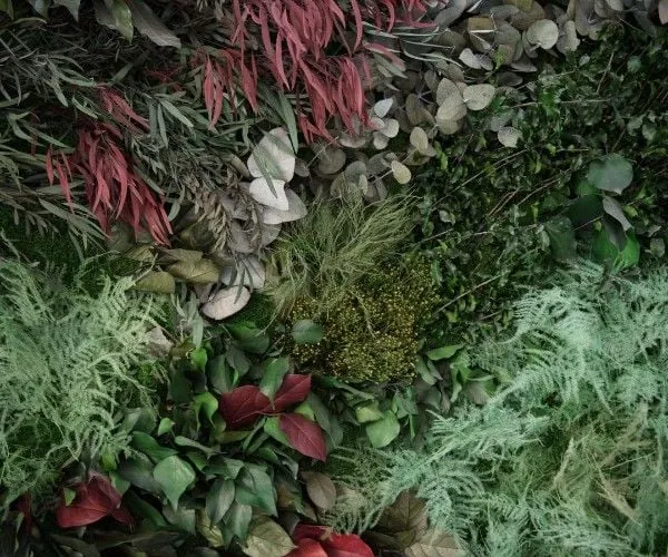 Preserved green wall texture with reds and silver foliage