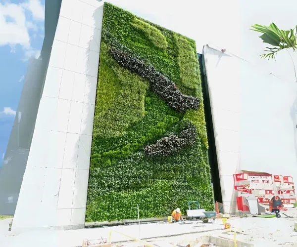 Live green wall in an architectural interior