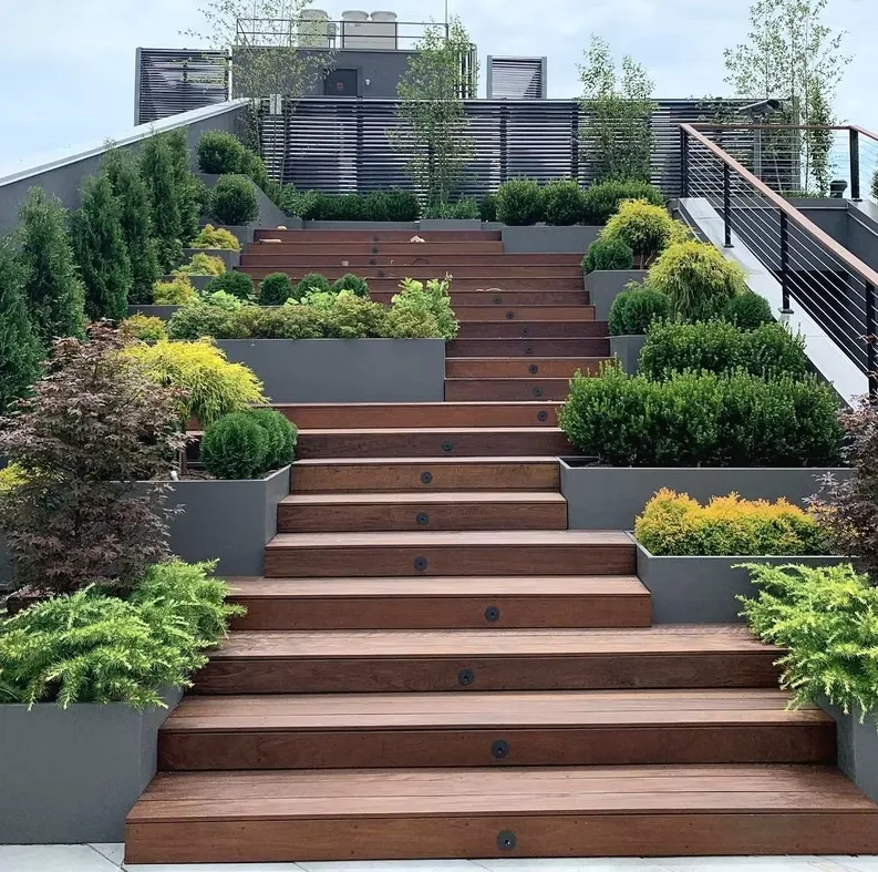 Wide timber stair on a rooftop with grey steel planters stepping up both sides, planted with evergreens